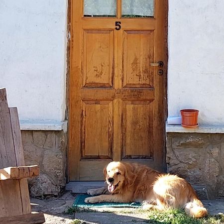 Buena Onda I Villa San Martín de los Andes Eksteriør billede