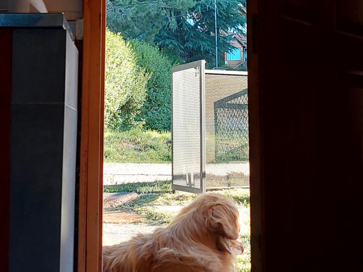 Buena Onda I Villa San Martín de los Andes Eksteriør billede